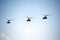 Helicopter formation, Moscow, Russia