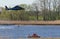 A Helicopter rescue a man and a lifeguard boat