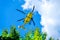 Helicopter rescue yellow mountain rescue alpine