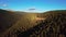 Helicopter shot of evergreen coniferous forest and the blue sky in the background Colorado