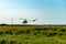 Helicopter spraying pesticides flying over paddy fields in countryside on a clear sunny day and blue sky