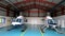 Helicopters in Hangar