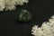 Heliotrope from India. Natural mineral stone on a black background surrounded by moss. Mineralogy, geology, magic, semi
