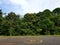 Helipad at Khoa Yai National Park.