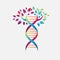 helix dna tree logo design vector icon simple sign nature DNA strand icon