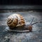 Helix snail navigates concrete floor in close up photo