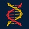 Helix structure, genetic code twisted DNA molecule