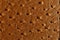 Hell brown leather texture