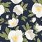 Hellebore anemone christmas rose floral pattern