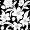 Hellebore floral foliage pattern white on black