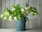 Hellebore flowers helleborus orientalis in blue rustic vase