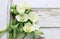 Hellebore flowers helleborus orientalis on wood