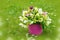 Helleborus flowers in a bucket