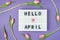 Hello April - text on display lightbox on purple background wih pink tulips. Pastel colors, soft image. Floral Greeting card.