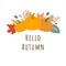 Hello autumn. Autumn fall background with orange pumpkins, maple leaves, branches, berries