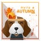Hello autumn background with happy dog