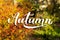 Hello Autumn calligraphy hand lettering on blurred picture with colorful leaves. Autumnal garden on a sunny day. Bright fall