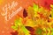 Hello autumn. Hand drawn nature foliage different colored autumn leaves.