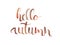 Hello, Autumn. Hand written lettering. Phrase isolated white background. Fall calligraphy