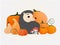 Hello autumn illustration, cute hedgehog sitting among the harvest of pumpkins and mushrooms