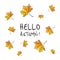 Hello autumn lettering with maple leaves. Background on a theme of autumn. Vector illustration