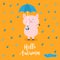 Hello autumn. Pig holding blue umbrella. Rain drops, puddle. Angry sad emotion. Hate fall. Cute funny cartoon baby character. Pet