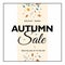 Hello Autumn Sale text poster of leaf fall or autumnal foliage of maple