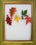 Hello, Autumn. Seasonal invitation, congratulation, announcement, advertising