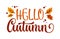 Hello Autumn - simple colorful calligraphic baner design