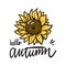 Hello Autumn and Sunflower hand drawn vector illustration. Isolated on white background.