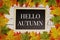 Hello Autumn text on blackboard decorated with maple leaves on wooden background