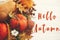 Hello Autumn text, fall greeting sign on pumpkins with fall leaves, cotton, cinnamon, anise, acorns, nuts, berries, autumn flowers