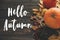 Hello Autumn Text. Hello Fall sign on pumpkin, autumn vegetables