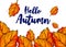Hello Autumn Typographic Paint Watercolor Fall Leaves
