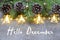 Hello December.Christmas decoration with fir tree,pine cones and garland lights on old wooden background.
