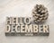 Hello December word abstract in wood type