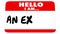 Hello Expert Nametag Business Leader Words Animation