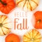 Hello Fall greeting card with frame of pumpkins over white