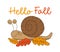 Hello Fall - happy greeting with cute snail with autumnal leaves