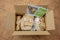 Hello Fresh meal kits in a cardboard box