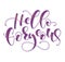 Hello gorgeous hand written calligraphy, multicolored vector illustration for posters, photo overlays, greeting card, t