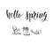 Hello green spring lettering