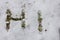 Hello inscription on the lettering spring snow melt