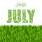 Hello JULY. Decorative Font made in swirls and floral elements