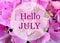 Hello July greeting on natural pink hydrangea flowers background.Summer concept.