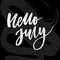 Hello July Phrase Lettering Calligraphy Vector Chalkboard