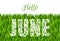 Hello JUNE. Decorative Font made in swirls and floral elements.
