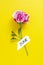 Hello june inscription, pink flower over yellow background. Hello summer concept