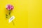 Hello june inscription, pink flower over yellow background. Hello summer concept. copy space