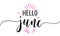 Hello June - Summer lettering, vector handwritten typography.